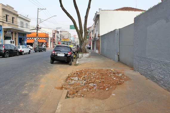 Árvore é arrancada