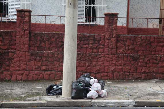 Lixo na calçada atrai bichos