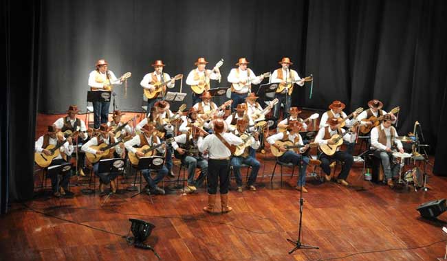 Viola caipira no Ibirapuera