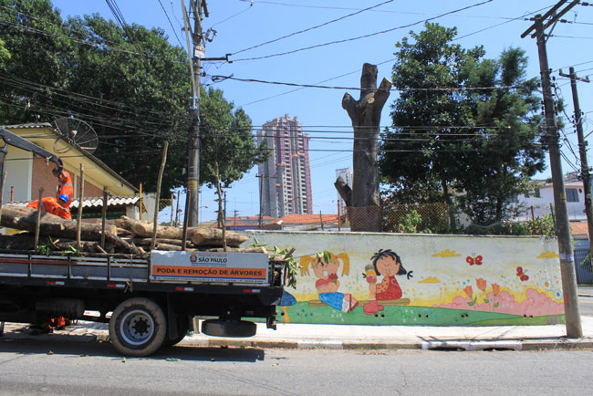 Vila Antonina: galhos de árvore são cortados