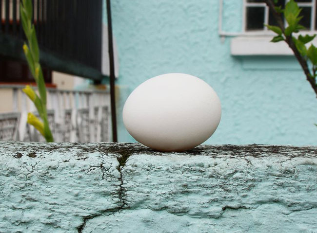 ‘Cápsula de Vida’