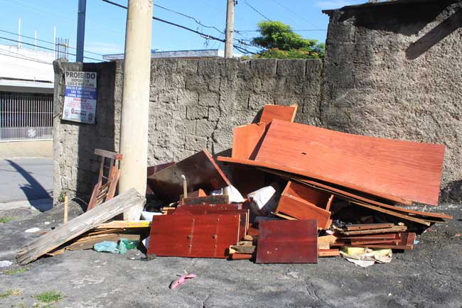 Moradora cobra limpeza e pede poda de árvores