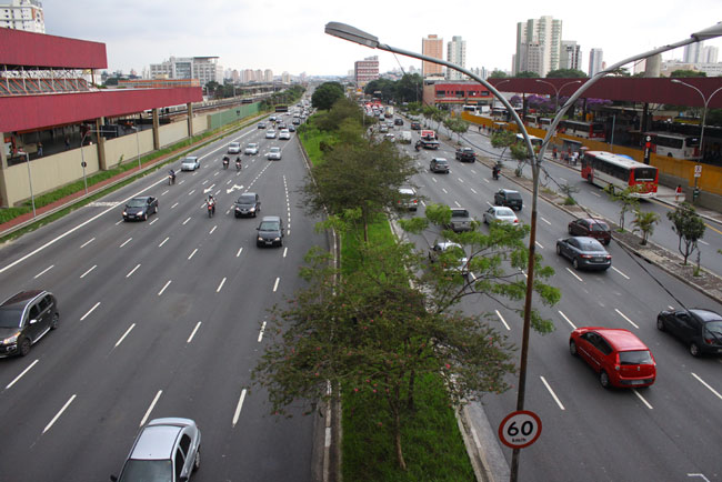Corredor de ônibus: Árvores serão retiradas?