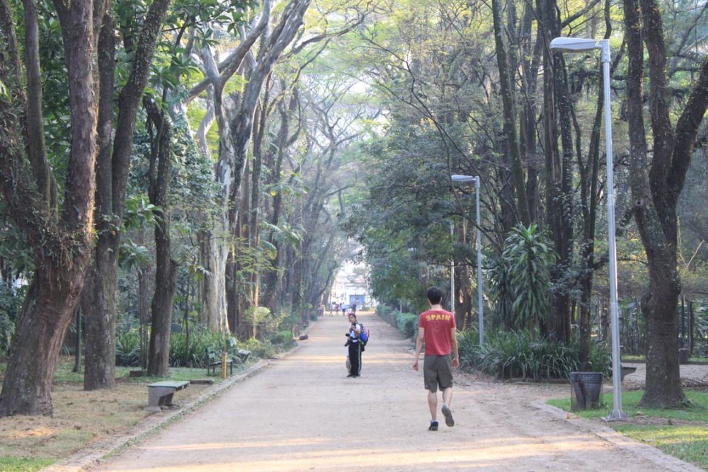 Por que o Piqueri fecha cedo?