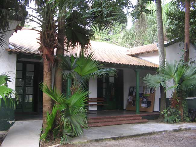 Projetos culturais em discussão