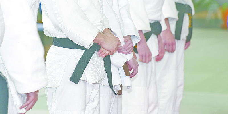 Judô gratuito na ZL