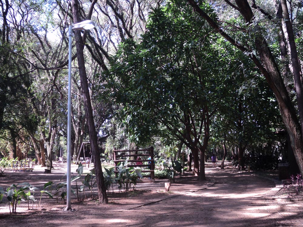 Piqueri: luzes acesas durante o dia