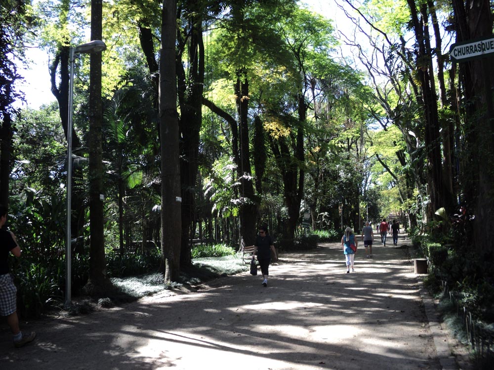 Primeira Virada Ambiental acontece na próxima semana