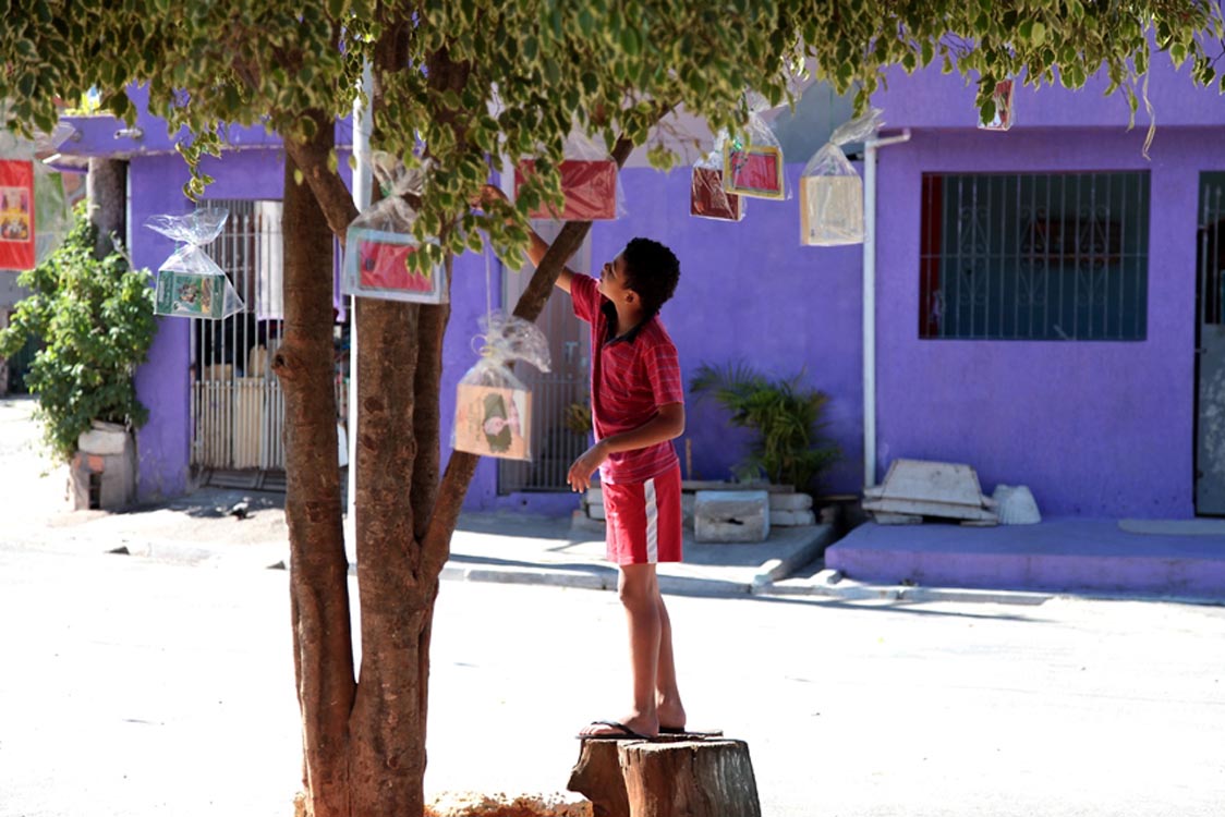Tide Setúbal: mais uma campanha de arrecadação de livros