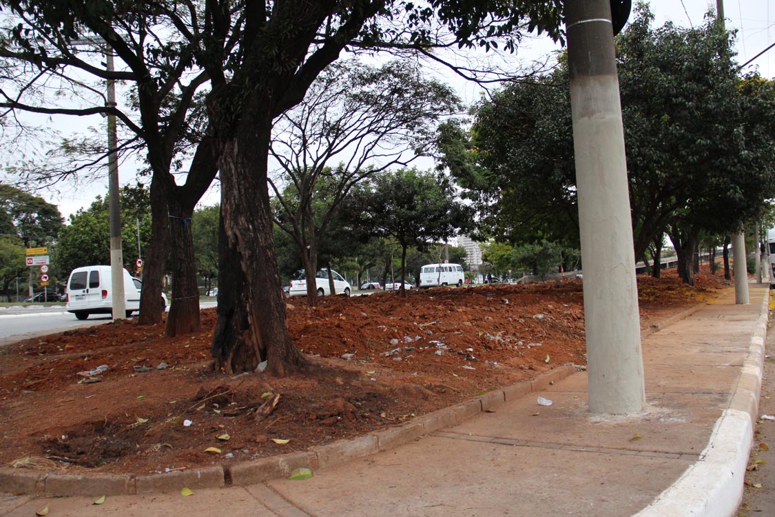 VIADUTO BRESSER – Prefeitura tenta manter local limpo após operação conjunta