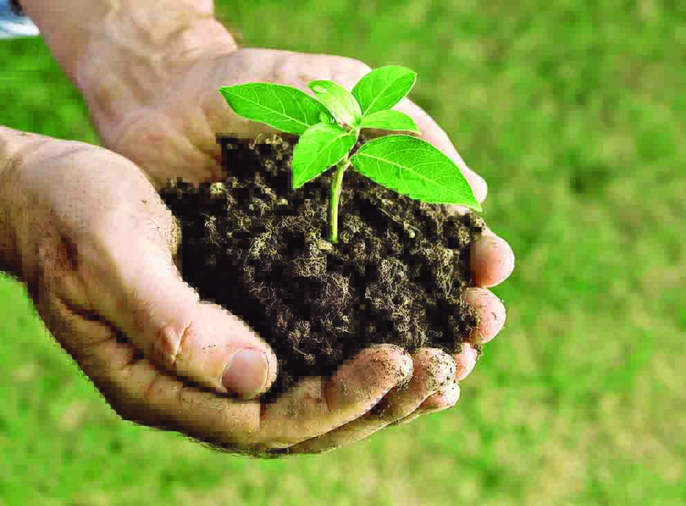 Melhorias na região de Itaquera