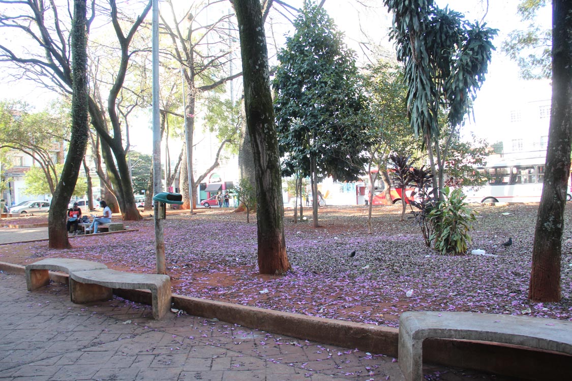 SILVIO ROMERO: Canteiro sem grama – Vereador responde