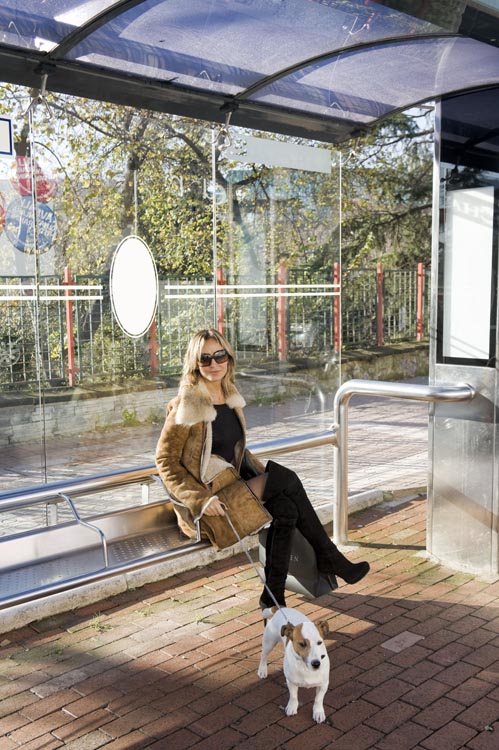 Pets poderão andar de ônibus