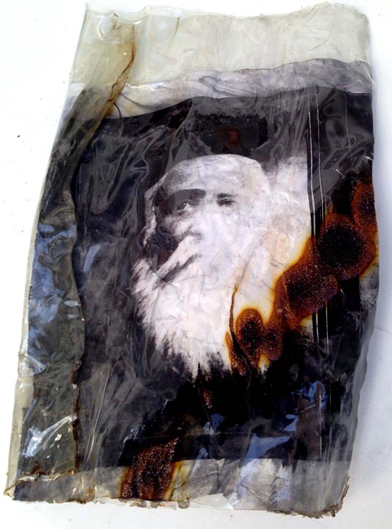 Exposição ‘Pormenores’