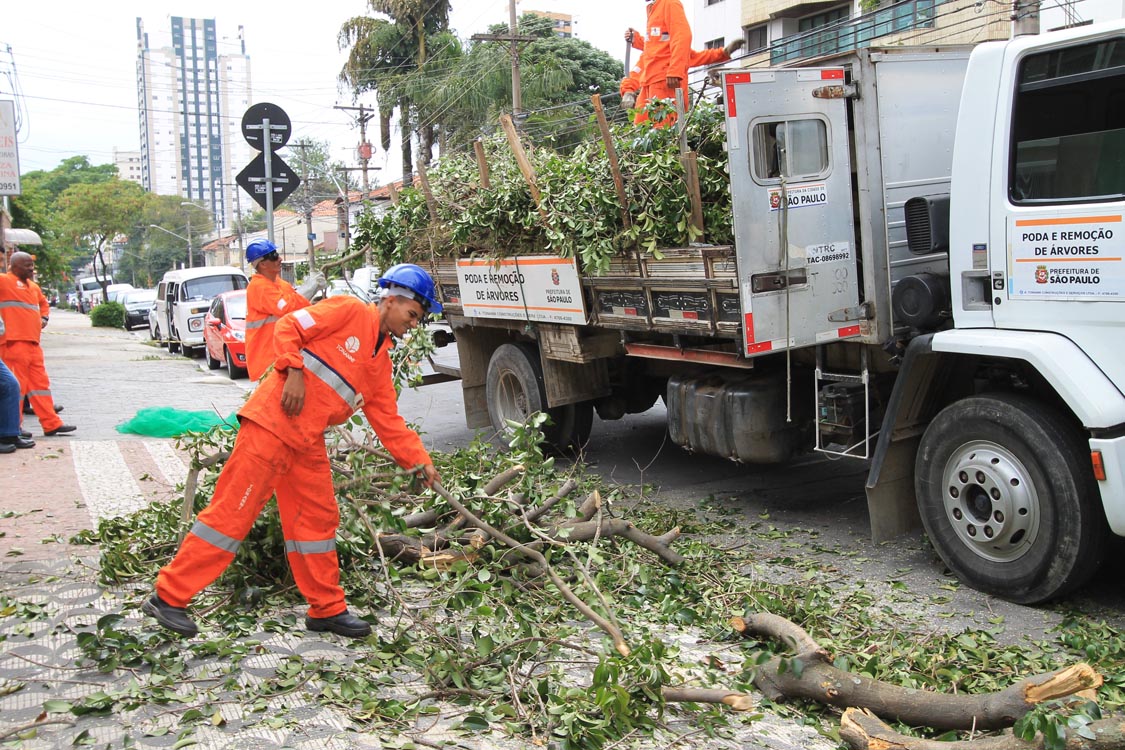 Lei que desburocratiza as podas é sancionada