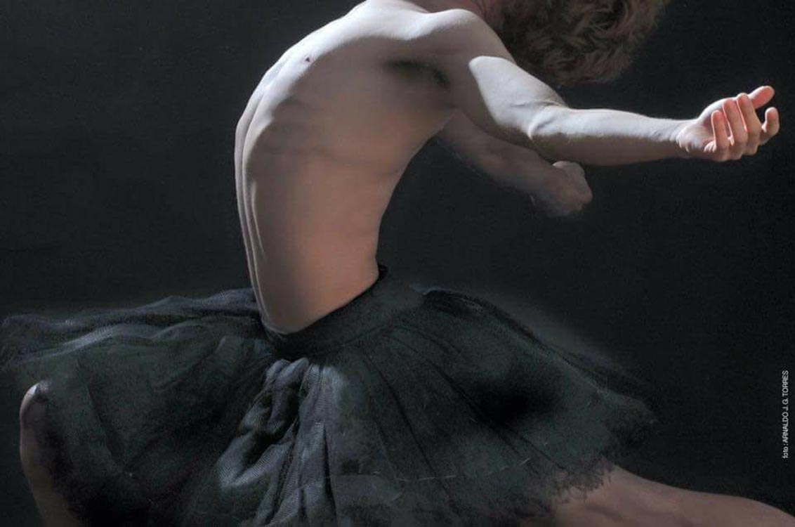 ‘Cisne’, de Dinah Perry