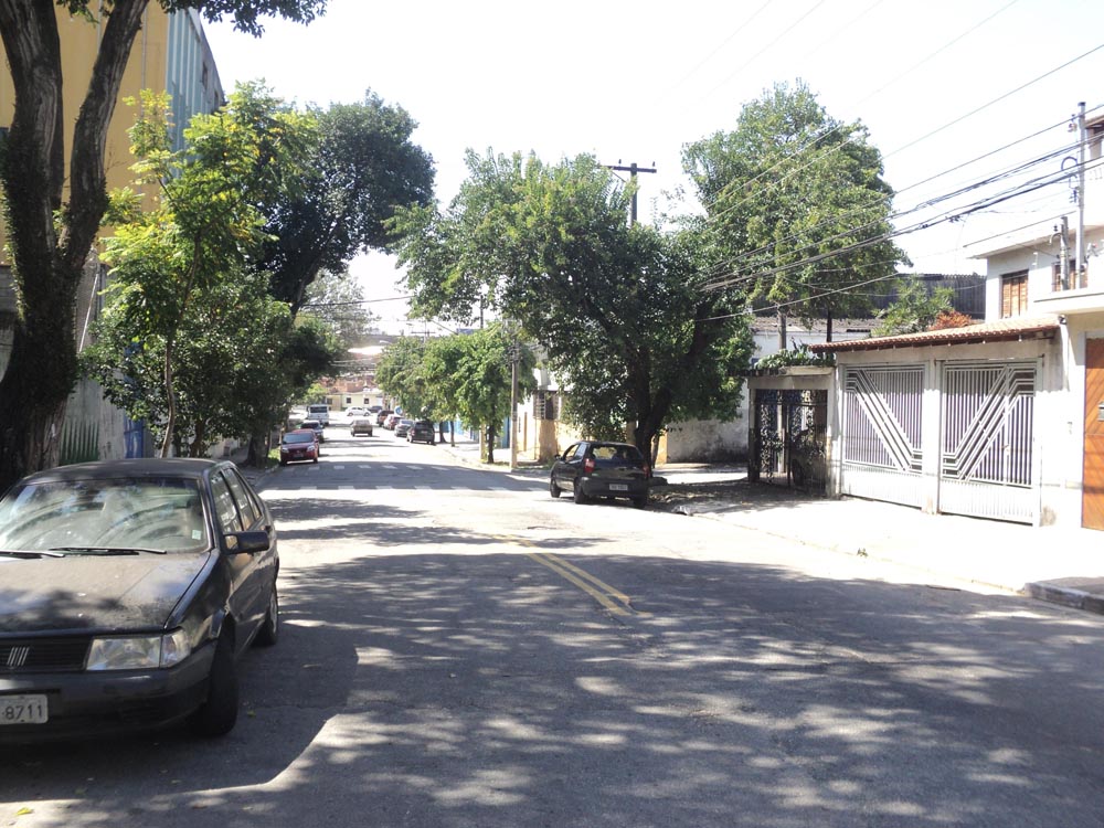 Perigo na Rua Honório Maia