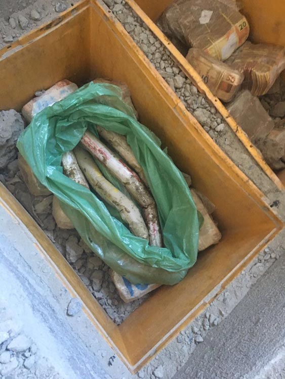 TATUAPÉ – Casos rendem elogios