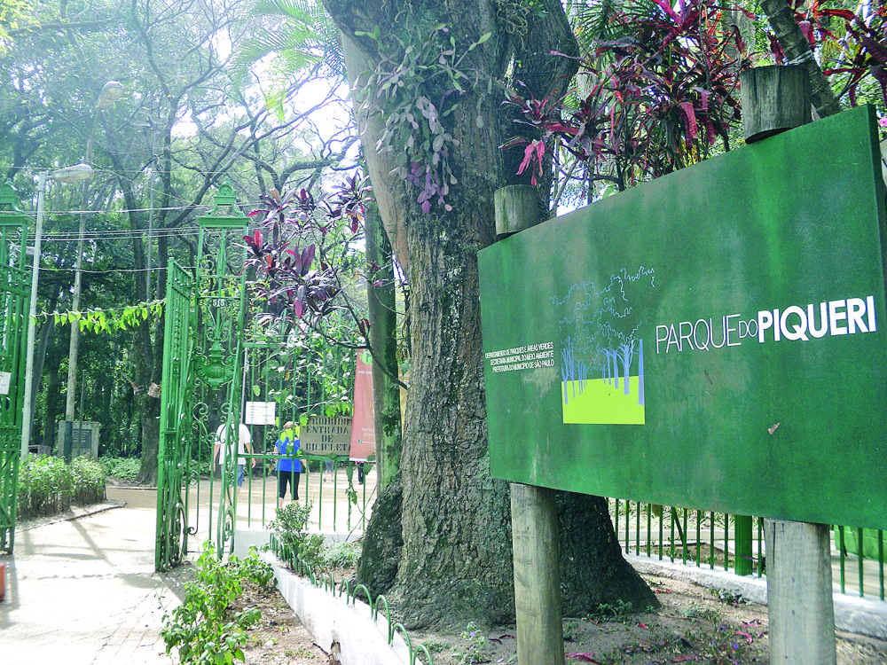 Iluminação: Piqueri recebe intervenções