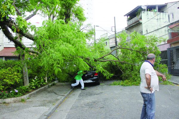 Galhos caem sobre carros no Tatuapé