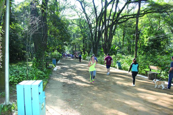 Parque do Piqueri tem música aos domingos