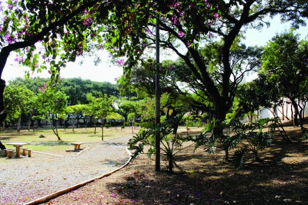 Secretário confirma início das obras do Parque do Tatuapé