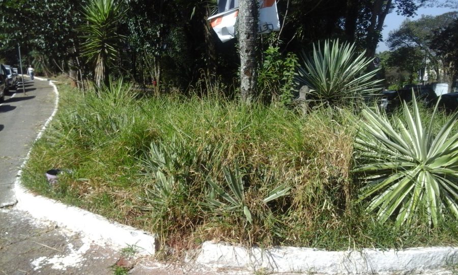Praça é esquecida no Jardim Anália Franco