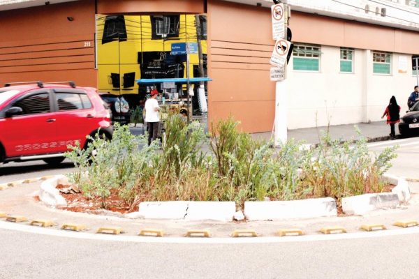 Rotatórias estão virando canteiros verdes