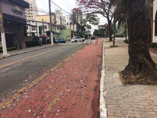 Ciclofaixas e ciclovias seguem sem manutenção