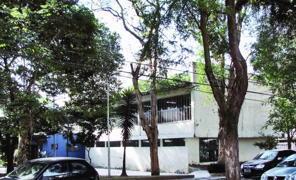 Festa nas bibliotecas