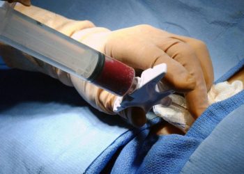 Palestra sobre transplante de medula óssea