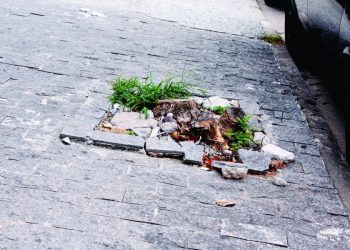 Pedestres sofrem com calçadas em péssimo estado