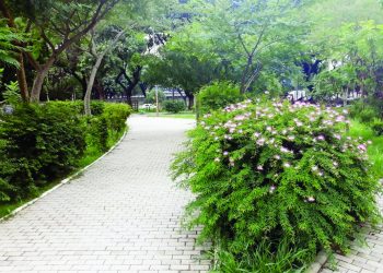 Parque do Tatuapé receberá R$ 1 milhão para obras