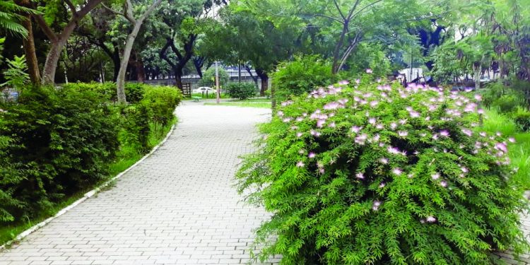 Parque do Tatuapé receberá R$ 1 milhão para obras