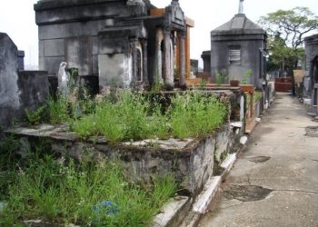 Sem segurança, moradores pedem ações no Cemitério da 4ª Parada