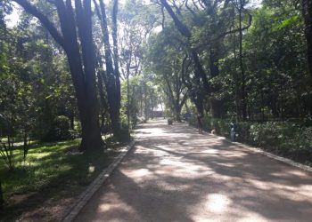 Parque do Piqueri é um refúgio no movimentado Tatuapé