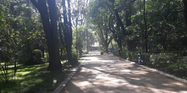 Parque do Piqueri é um refúgio no movimentado Tatuapé