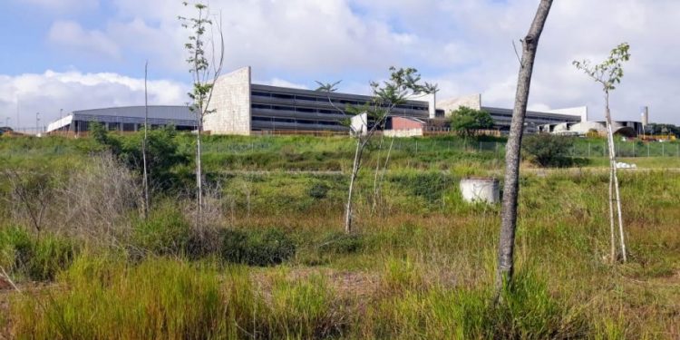 Polo gerador de ensino e capacitação da Zona Leste fica no papel