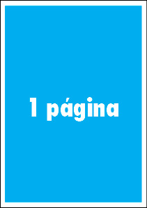 1pag