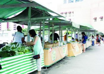 Ceret, no Tatuapé, tem feira de produtos orgânicos