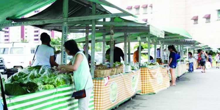 Ceret, no Tatuapé, tem feira de produtos orgânicos