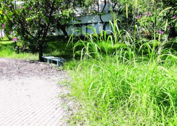 Parque do Tatuapé espera por regras de utilização. Secretário não cumpre promessa