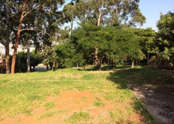 ‘Praça do Alemão’, na Vila Sta. Isabel, receberá ação do Grupo Escoteiro Tatuapé