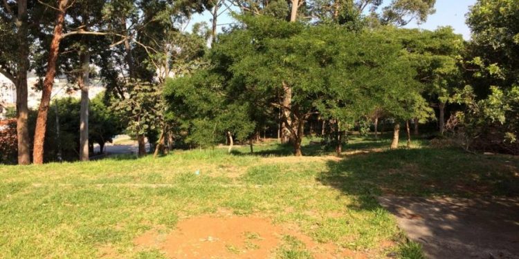 ‘Praça do Alemão’, na Vila Sta. Isabel, receberá ação do Grupo Escoteiro Tatuapé