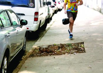 Árvores são retiradas do Tatuapé, mas não há programa de reposição