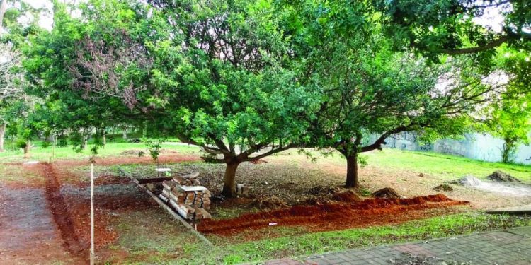 Praça do Alemão será revitalizada e também receberá um ParCão