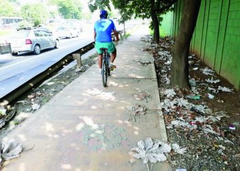 Ciclistas vão ganhar ciclofaixa na Radial, do Tatuapé ao Parque Dom Pedro II