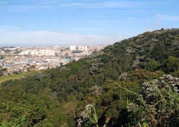 Parque Natural, em Itaquera, vai abrir ao público todas as terças-feiras
