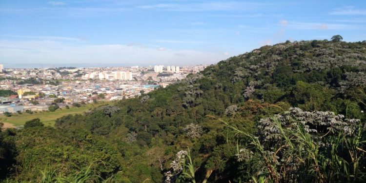 Parque Natural, em Itaquera, vai abrir ao público todas as terças-feiras