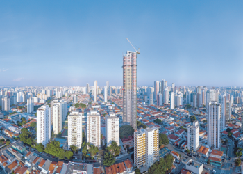 Figueira Altos do Tatuapé é um marco para a região